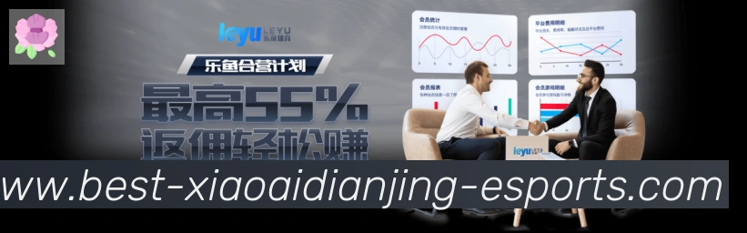 未来规划